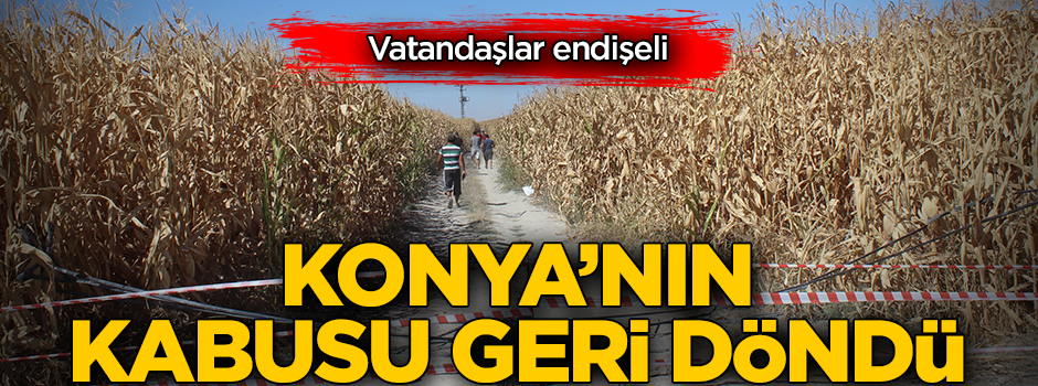 Vatandaşlar endişeli! Konya'nın kabusu geri döndü