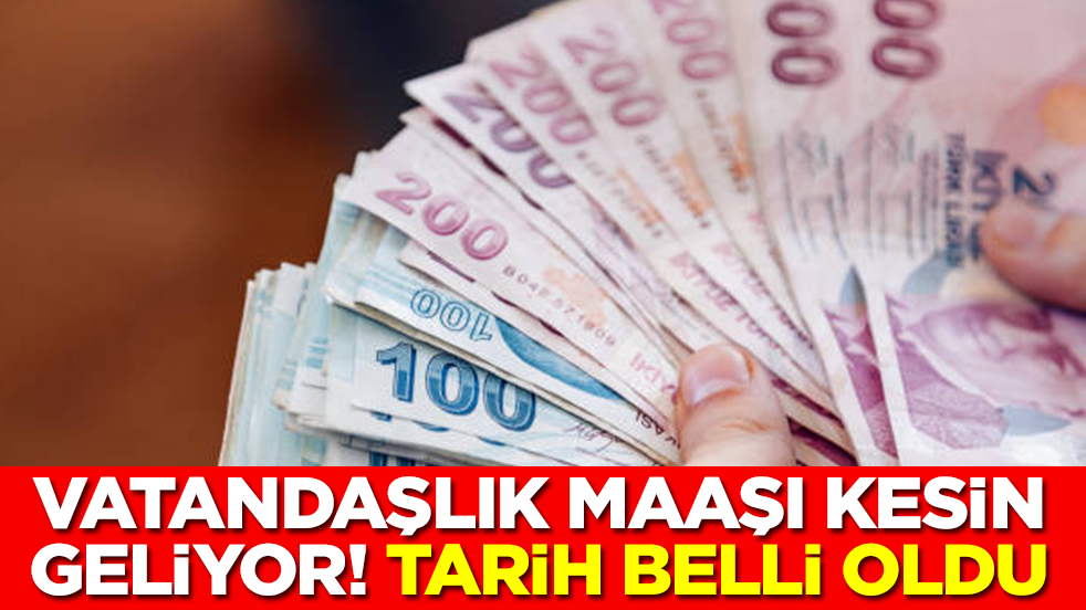 Vatandaşlık maaşı hesaplara yatacak: Tarih belli oldu