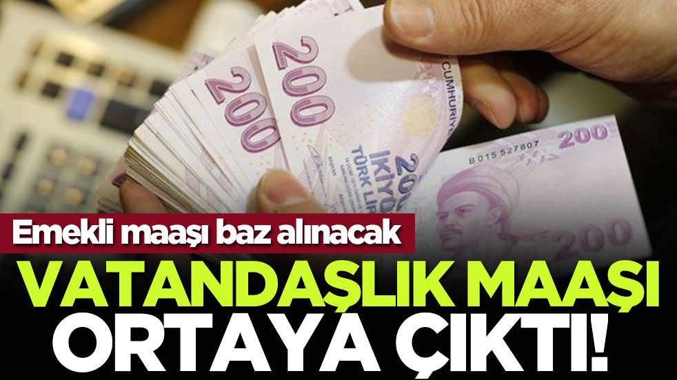 Vatandaşlık maaşı ortaya çıktı! Emekli maaşı baz alınacak