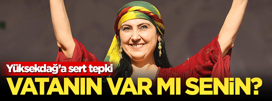 Vatanın mı var senin?