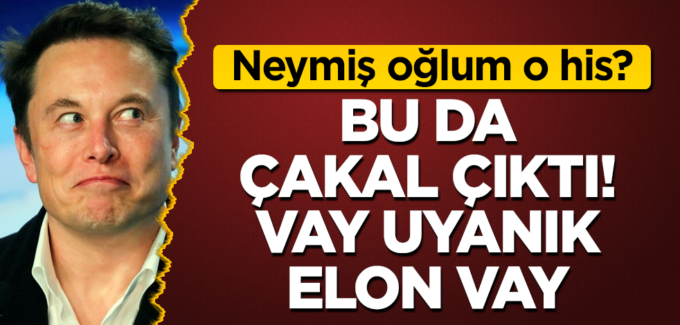 Vay uyanık Elon Musk vay! O da çakal çıktı