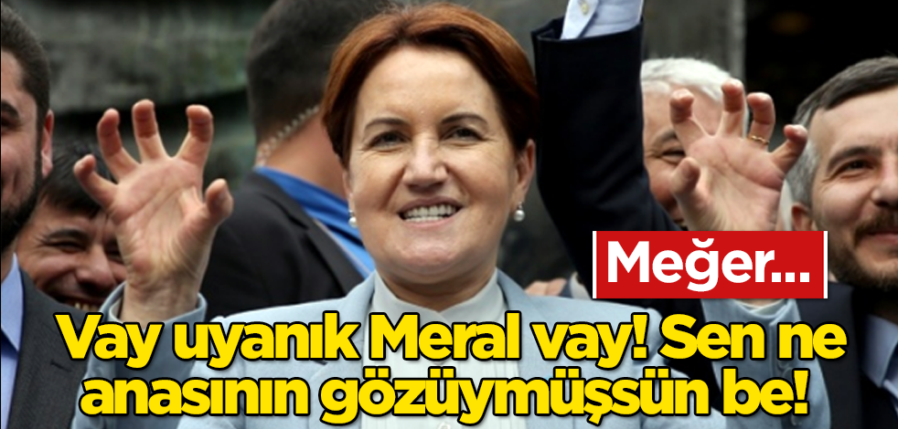 Vay uyanık Meral Akşener vay! Sen ne anasının gözüymüşsün be! Meğer…