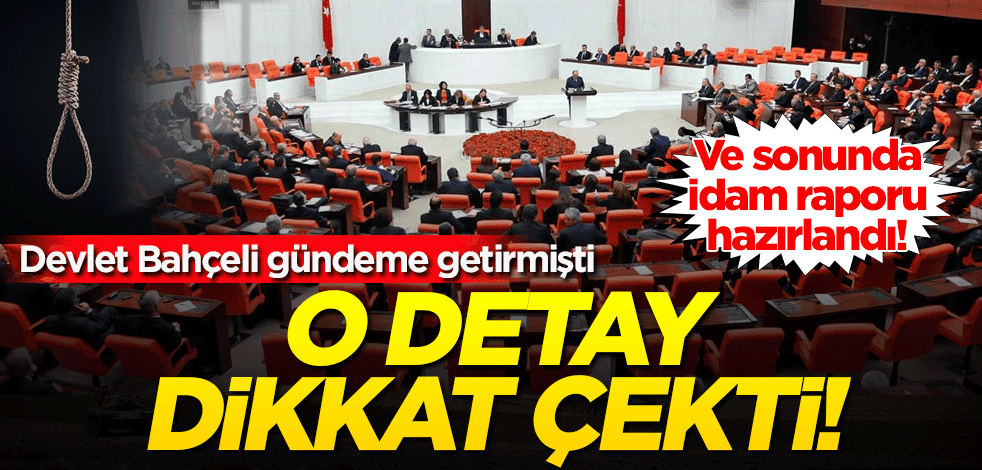 Ve sonunda idam raporu hazırlandı! O detay dikkat çekti