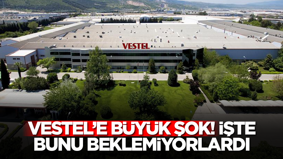 Vestel'e büyük şok: İşte bunu beklemiyorlardı