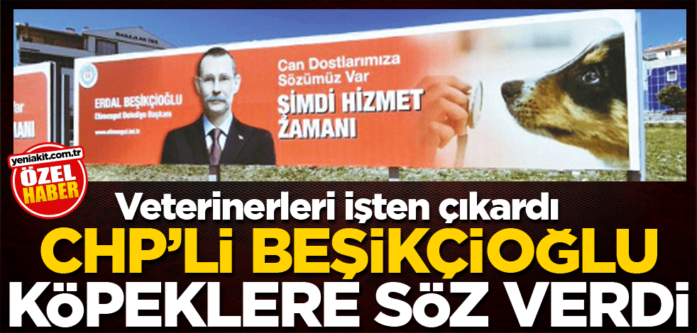 Veterinerleri işten çıkardı! CHP’li Beşikçioğlu köpeklere söz verdi