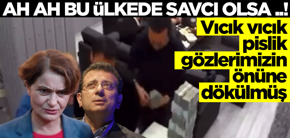 Vıcık vıcık pislik gözlerimizin önüne dökülmüş... Ah ah bu ülkede savcı olsa ..!