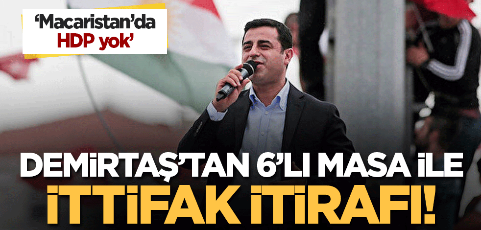 Victor Orban'ın zaferini yorumladı! Selahattin Demirtaş'tan ittifak itirafı