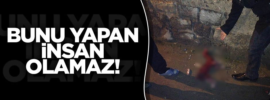 Şanlıurfa'de derisi yüzülmüş köpek bulundu!