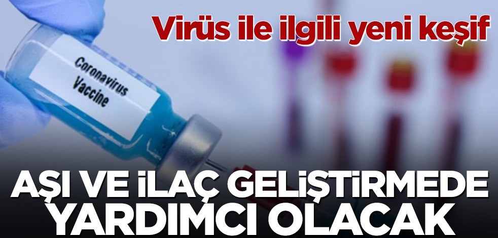 Virüs ile ilgili yeni keşif! 'Aşı ve ilaç geliştirmede yardımcı olacak'