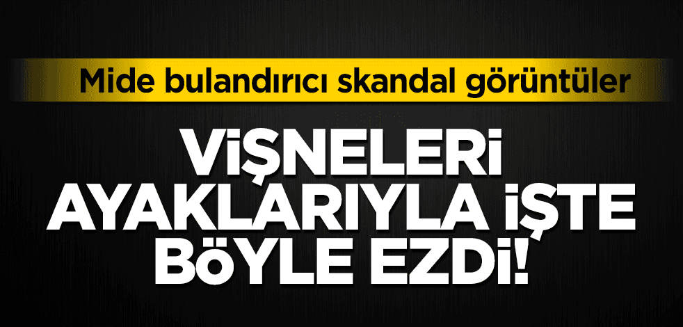 Vişneleri böyle ezdi! Mide bulandırıcı skandal görüntüler ortaya çıktı