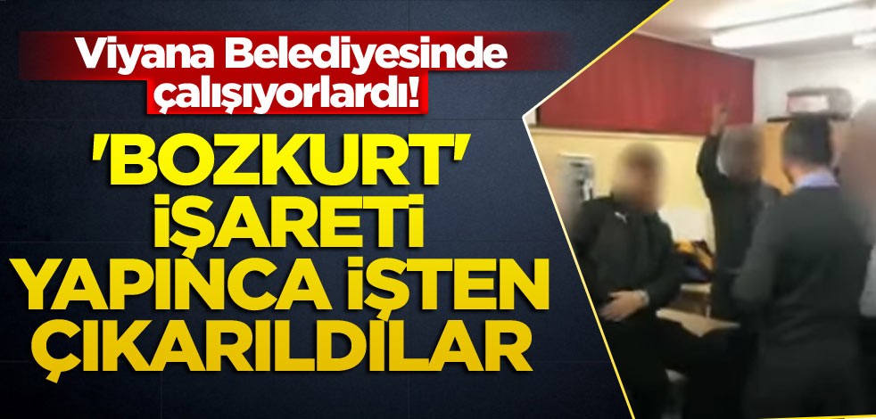 Viyana Belediyesinde çalışıyorlardı! 'Bozkurt' işareti yapınca işine son verildi