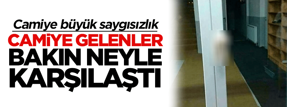 Viyana'da camiye büyük saygısızlık