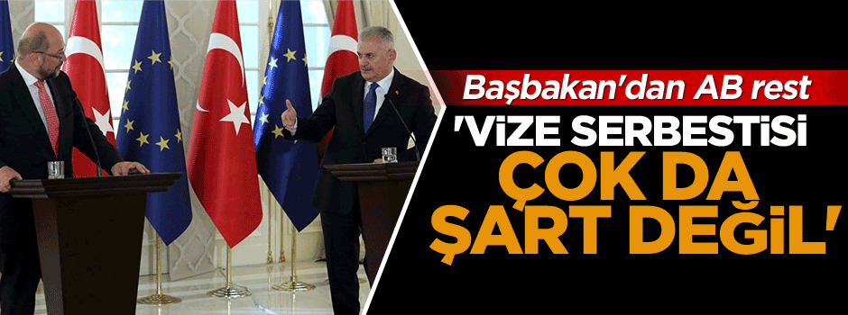 'Vize serbestisi çok da şart değil'