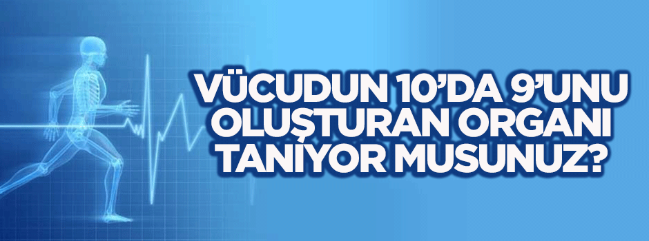 Vücudun 10'da 9'unu kaplayan organı biliyor musunuz?