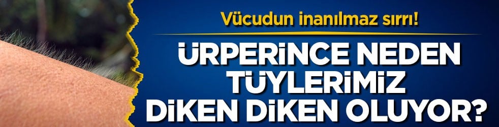 Vücudun inanılmaz sırrı! Ürperince neden tüylerimiz diken diken oluyor?