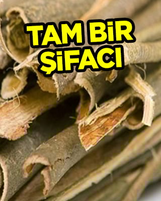 Vücuttaki iltihapları kurutuyor: Binlerce yıldır etkili olan dünyanın en eski ağrı kesicisi! Şifası şaşkına çeviriyor