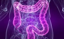 Vücuttaki parazit nasıl temizlenir?