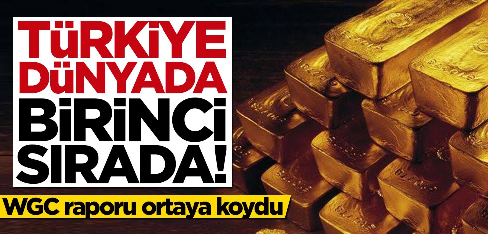 WGC raporu ortaya koydu: Türkiye dünyada birinci