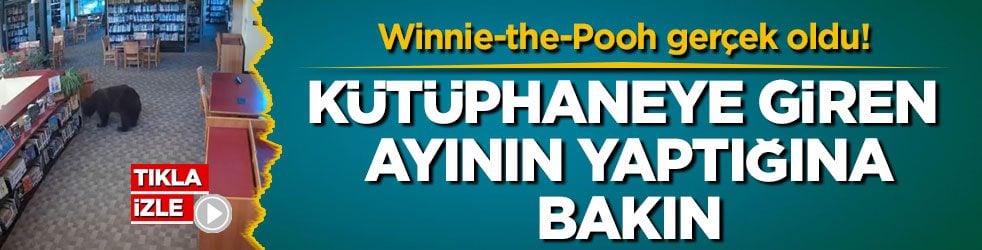 Winnie-the-Pooh gerçek oldu! Kütüphaneye giren ayının yaptığına bakın