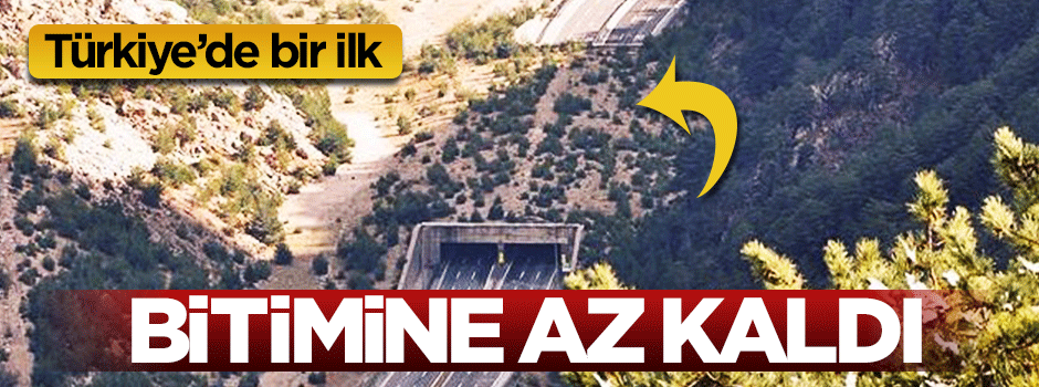 'Yaban hayatı köprüsü'nün bitimine az kaldı