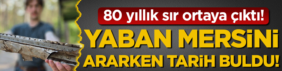 Yaban mersini ararken tarih buldu: 80 yıllık sır ortaya çıktı!