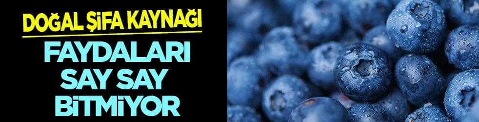 Yaban mersini beyaz saçlar için çözüm: Günde 1 tane tüketin! Onlar masum görünüyor ama kanser riski yüksek 