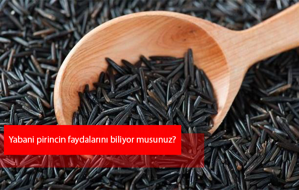 Yabani pirinç nedir? Yabani pirincin faydaları nelerdir?