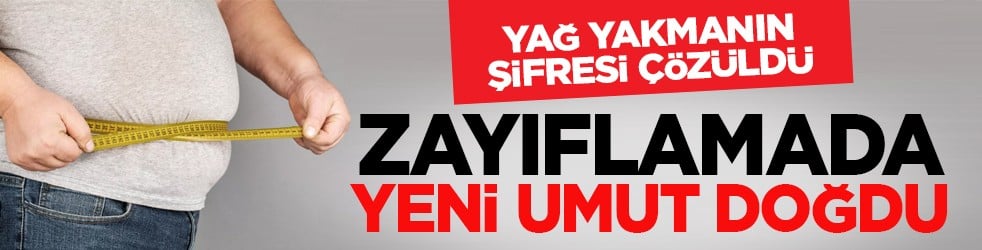 Yağ yakmanın şifresi çözüldü: Zayıflamada yeni umut doğdu