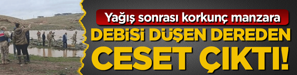 Yağış sonrası korkunç manzara: Debisi azalan dereden ceset çıktı!