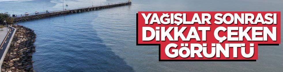 Yağışlar sonrası dikkat çeken görüntü