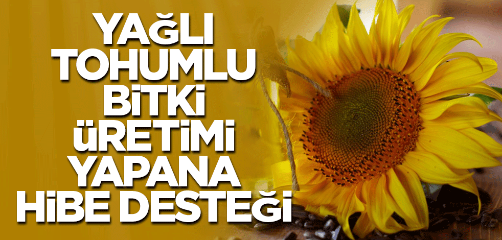 Yağlı tohumlu bitki üretimi yapana hibe desteği