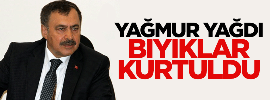 Yağmur yağdı, Eroğlu'nun bıyıkları kurtuldu