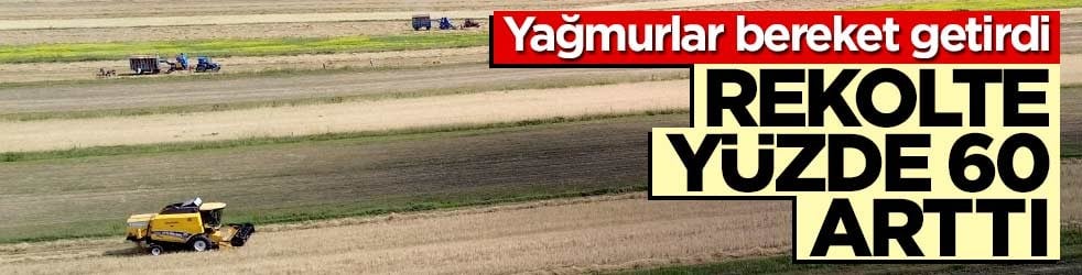 Yağmurlar bereket getirdi! Rekolte yüzde 60 arttı
