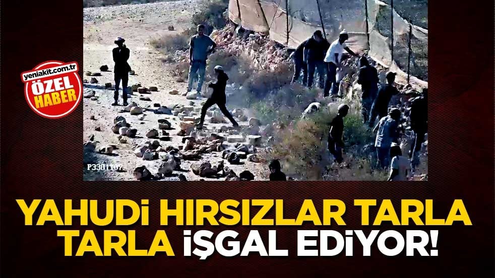 Yahudi hırsızlar tarla tarla işgal ediyor!