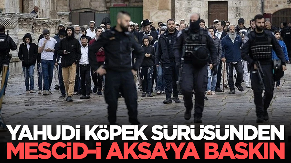 Yahudi köpek sürüsünden Mescid-i Aksa’ya baskın