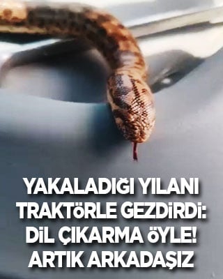 Yakaladığı yılanı traktöre bindirip köyü gezdirdi: Dil çıkarma öyle! Artık seninle arkadaşız