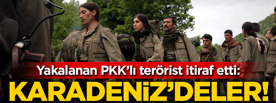 Yakalanan PKK'lı terörist itiraf etti: Karadeniz'deler!