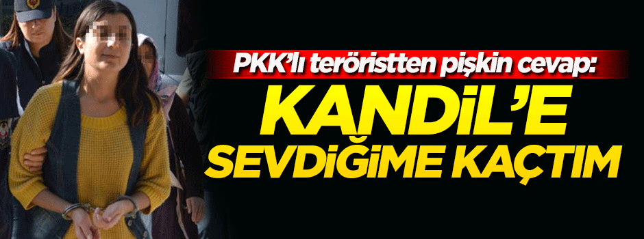 Yakalanan PKK'lı terörist: Kandil'e sevdiğime kaçtım