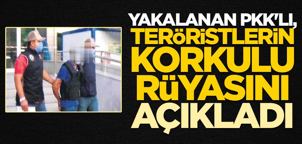 Yakalanan PKK'lı, teröristlerin korkulu rüyasını açıkladı