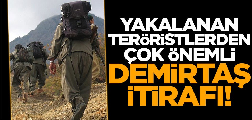 Yakalanan teröristlerden çok önemli Demirtaş itirafı