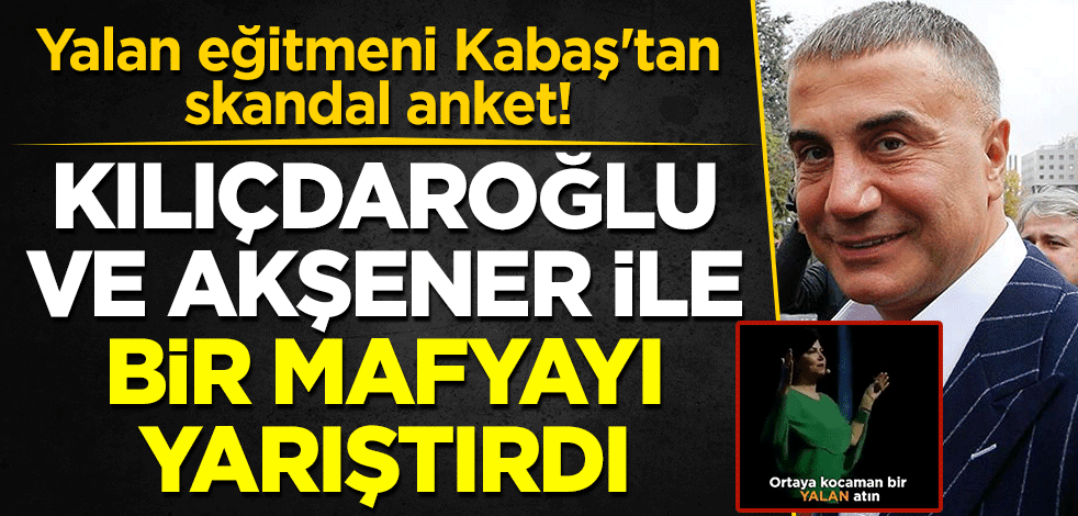Yalan eğitmeni Kabaş'tan skandal anket! Kılıçdaroğlu ve Akşener ile firari bir mafyayı yarıştırdı...