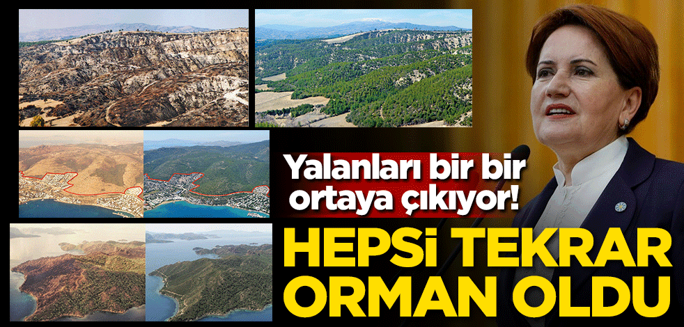 Yalanları bir bir ortaya çıkıyor! Hepsi tekrar orman oldu