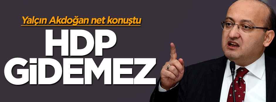 Yalçın Akdoğan flaş HDP açıklaması