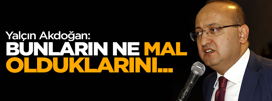 Yalçın Akdoğan: Ne mal olduklarını herkese anlatıyoruz