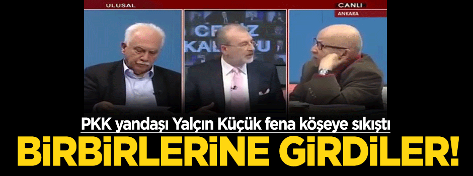 Yalçın Küçük ile Doğu Perinçek birbirine girdi!