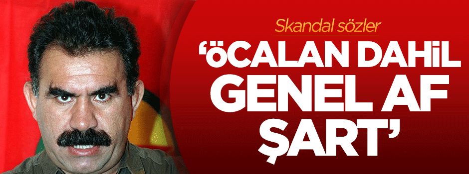 Yalçın Küçük: Öcalan dahil genel af şart