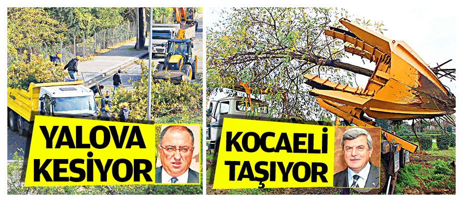 Yalova kesiyor Kocaeli taşıyor