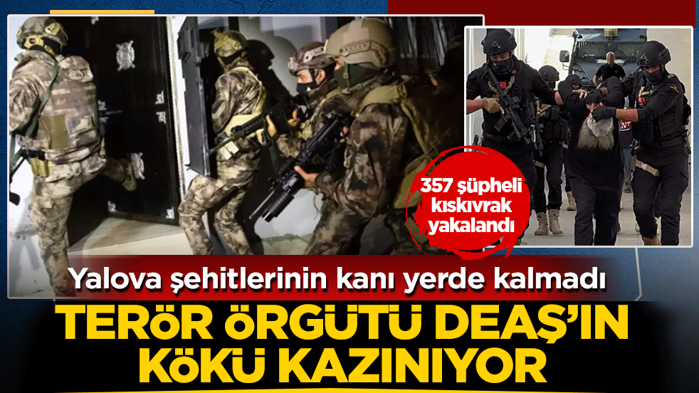 Yalova şehitlerinin kanı yerde kalmadı: Terör örgütü DEAŞ’ın kökü kazınıyor! 357 şüpheli kıskıvrak yakalandı