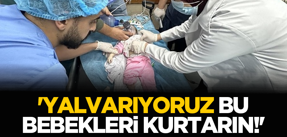 'Yalvarıyoruz bu bebekleri kurtarın!'