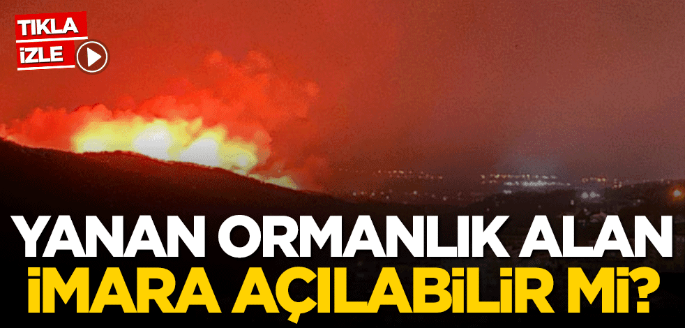 Yanan ormanlık alan imara açılabilir mi?